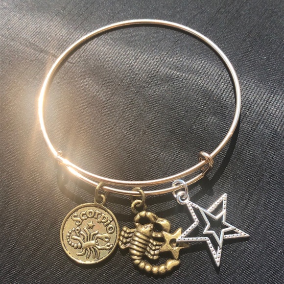 Scorpio βοΈ coin charm bangle - Picture 1 of 2